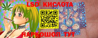 гидра Заводоуковск