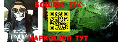гидра Заводоуковск