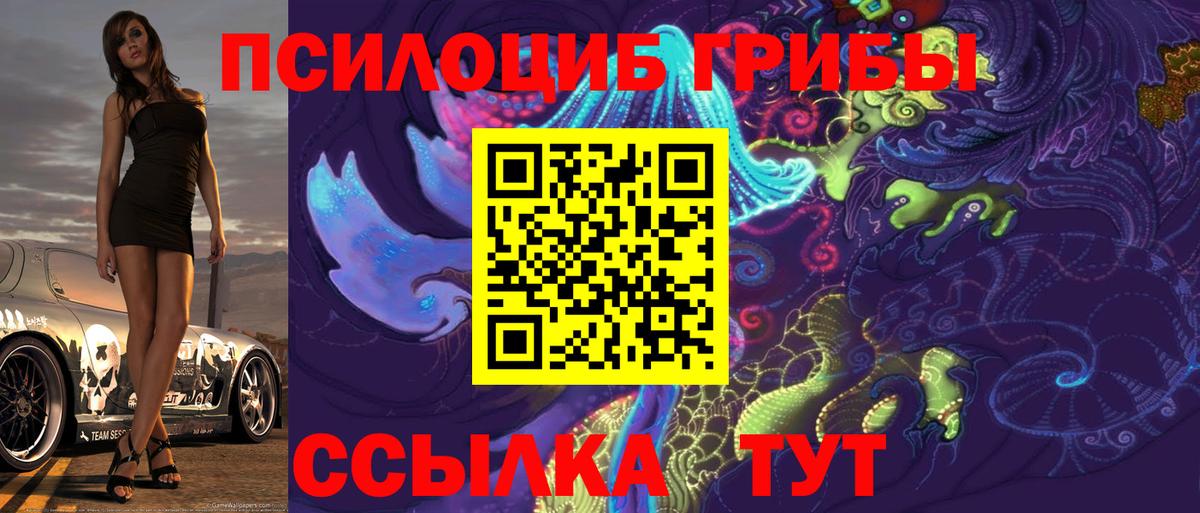Псилоцибиновые грибы Magic Shrooms  Вход с VPN  Ковров 